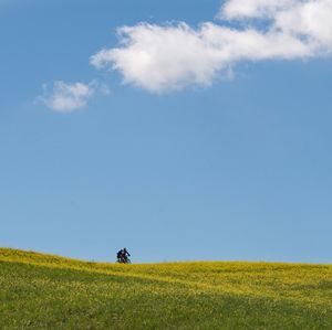 Scenic view of agricultural field against blue sky