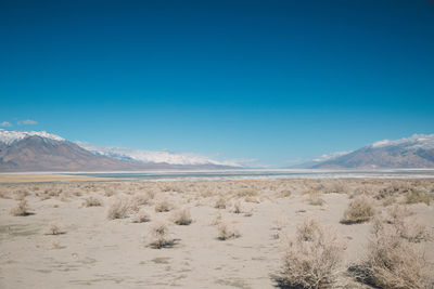 Scenic view of death valley desert against blue sky