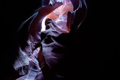 Abstract image of leaf against black background