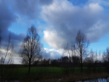 Bare trees on field against sky