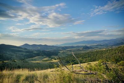 Scenic view of landscape against sky