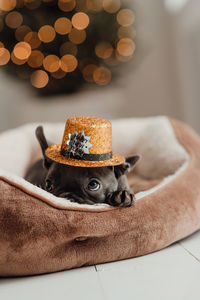 Close-up of hat on bed at home