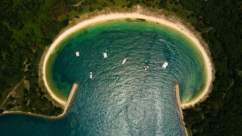 High angle view of elephant in water