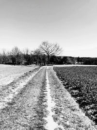 Road amidst bare trees on field against clear sky