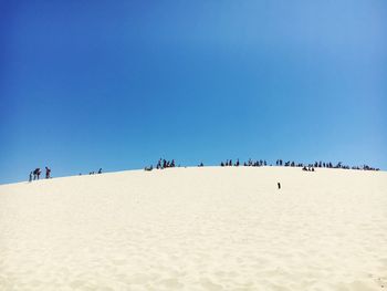 People on beach against clear blue sky