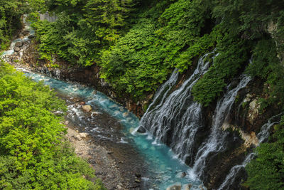 Scenic view of waterfall in forest