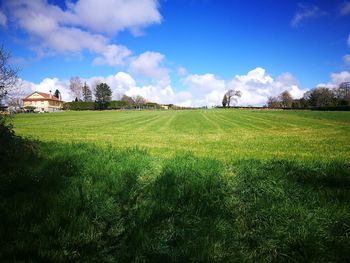 Scenic view of field against sky