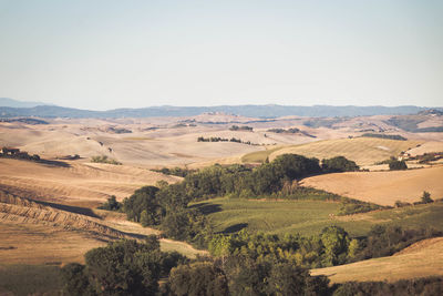 Scenic view of landscape against clear sky