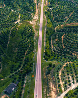 High angle view of road amidst field