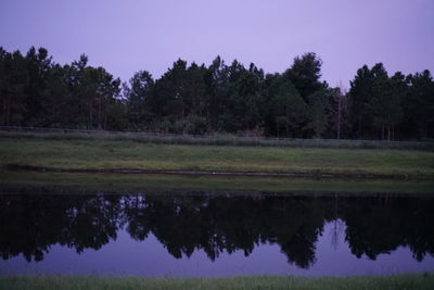 Reflection of trees in lake against sky