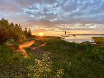 Scenic view of sunset