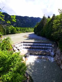 Scenic view of river amidst trees against sky