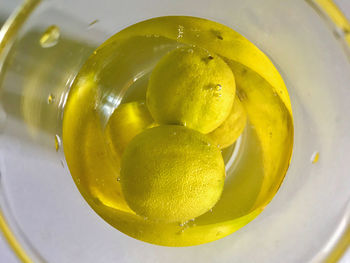 Close-up of drink in glass