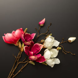 Close-up of pink flowers on table against black background