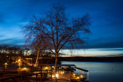 Bare trees against sky at dusk