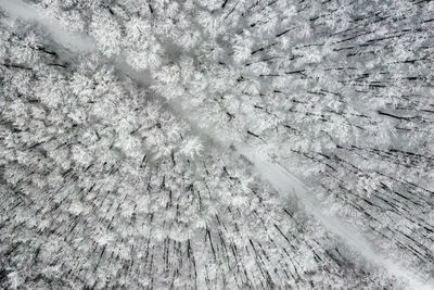 Full frame shot of snow on field