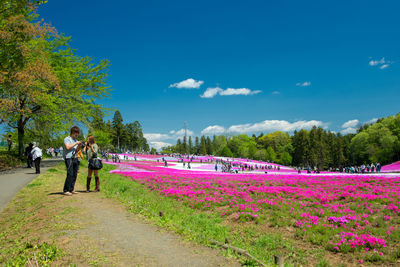 People standing by flowering plants against sky