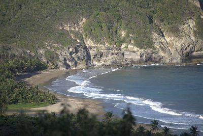 Scenic view of sea and trees