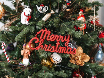 Christmas decoration hanging on tree