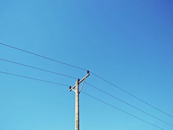 Low angle view of birds perching on electricity pylon against blue sky