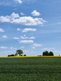 Scenic view of field against sky