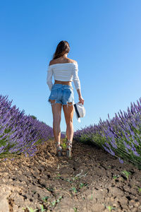 Full body portrait of a young woman view from behind in a blooming lavender field. ant eye view.