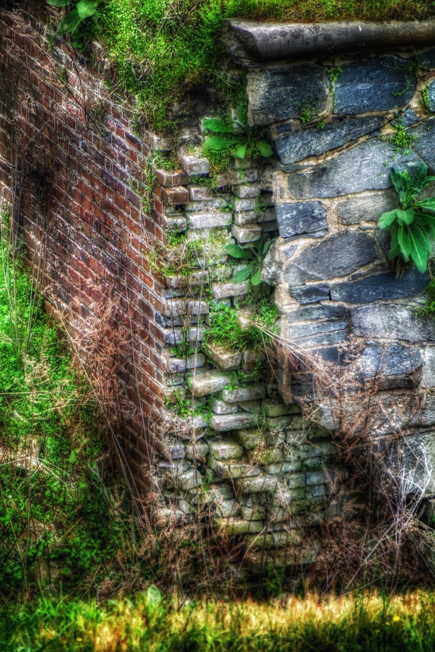 grass, growth, plant, green color, nature, tree, tranquility, built structure, no people, day, outdoors, wood - material, forest, old, architecture, field, high angle view, beauty in nature, sunlight, wall - building feature