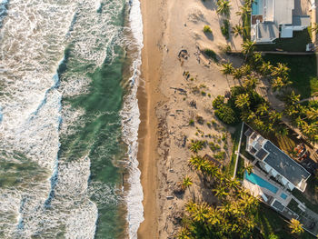 High angle view of plants by sea against buildings