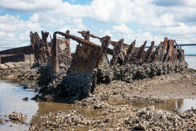 Shipwreck at sea shore against sky
