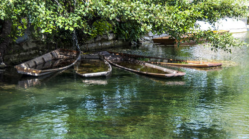 Boats in lake against trees