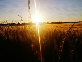 Scenic view of landscape against sky during sunset