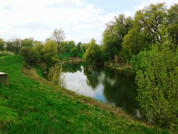 Scenic view of lake by trees against sky