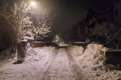 Snow covered trees against sky at night