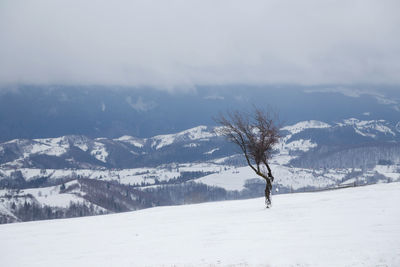 Scenic view of snow covered landscape against sky