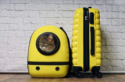 Yellow luggage against wall