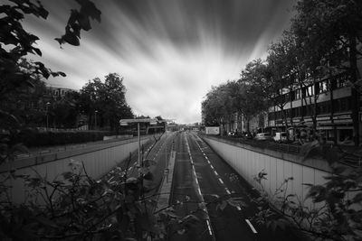 Road along trees