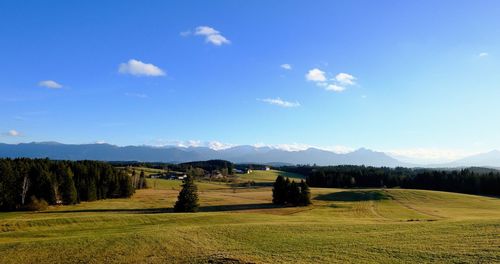 Scenic view of farm against sky