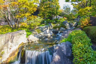 Stream flowing through rocks in forest