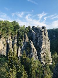 Plants and rocks on land against sky