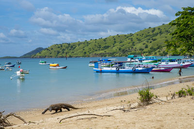 Boats moored on sea against sky