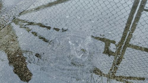 Reflection of trees in puddle