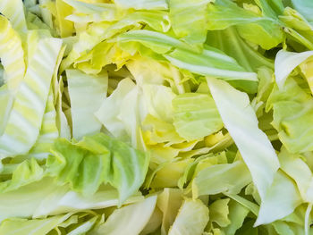 Full frame shot of vegetables