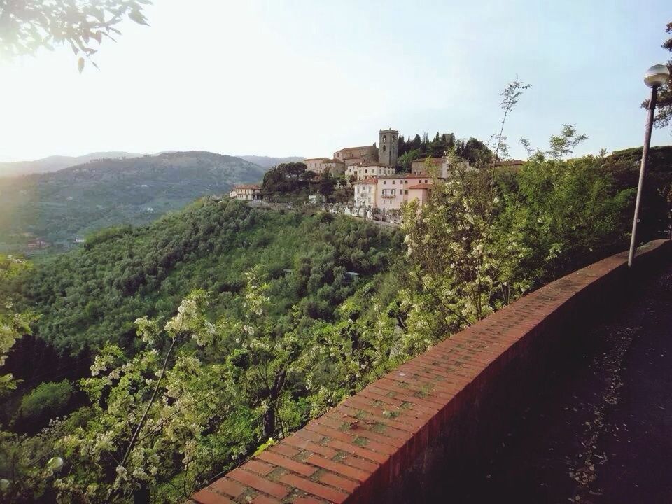 building exterior, architecture, built structure, tree, mountain, house, clear sky, residential structure, residential building, sky, high angle view, town, green color, growth, hill, nature, mountain range, day, outdoors, lush foliage