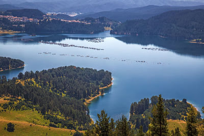 Scenic view of lake by trees against sky