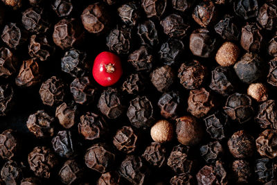 Close-up of peppercorn on table