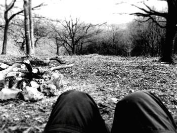 Person standing on field in forest