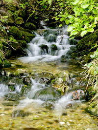 Waterfall in forest