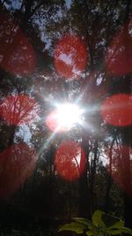 Low angle view of trees against sky