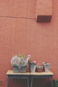 Potted plants on table against wall