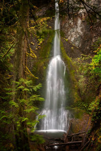 Scenic view of waterfall in forest